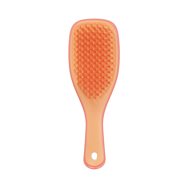 Щітка для волосся Tangle Teezer The Ultimate Detangler Mini Salmon Pink & Apricot 5060926684536 фото